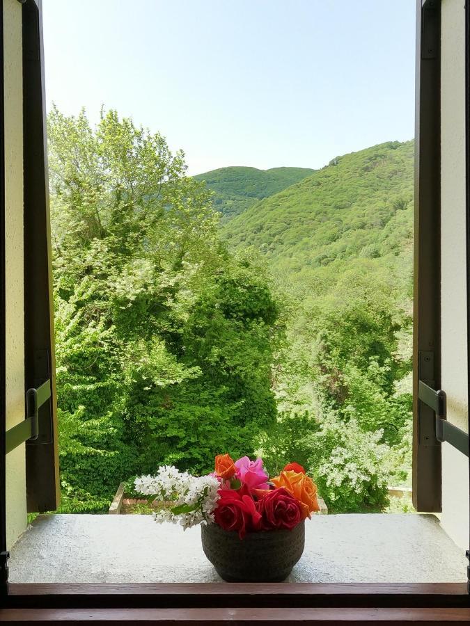 Amalthia Traditional Guesthouse Cangaráda Kültér fotó